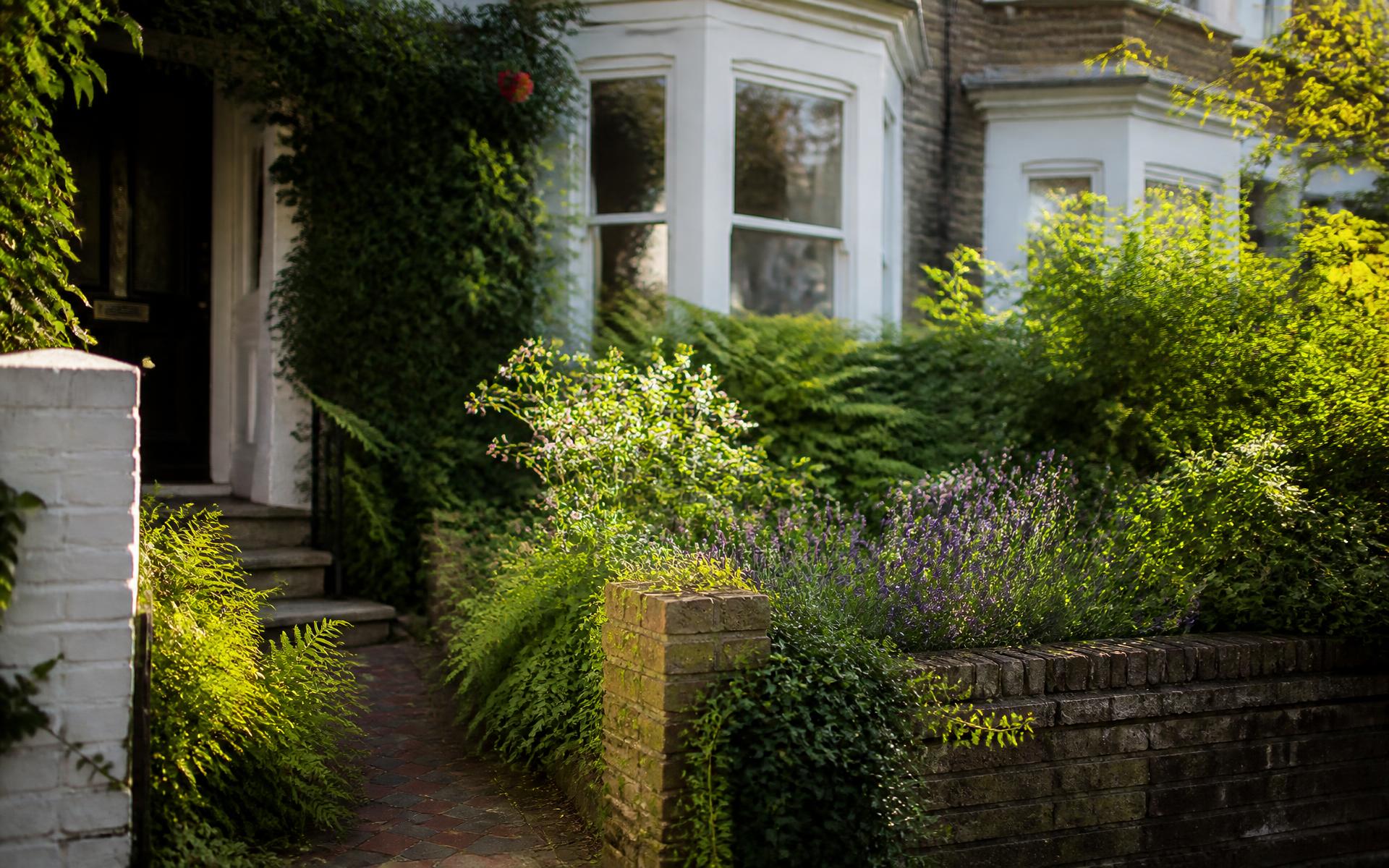 A verdant Brighton front garden of ferns and lavender beside a Victorian bay window